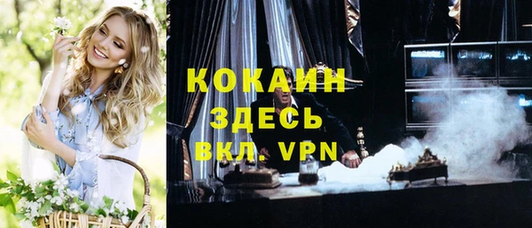 кокс Алексин