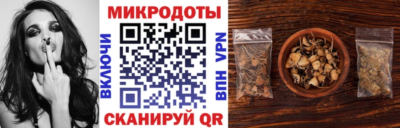 Галлюциногенные грибы Psilocybe  Дмитриев 